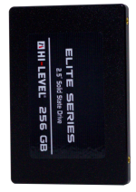 256GB HI-LEVEL HLV-SSD30ELT/256G 2,5