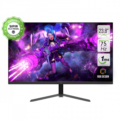 23.8 GAMEPOWER ACE A10 FLAT 1MS 75Hz MONITOR