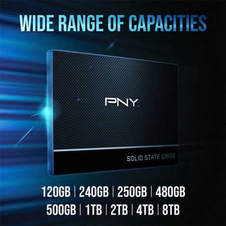 PNY CS900 500GB 535/500MB/s 2,5